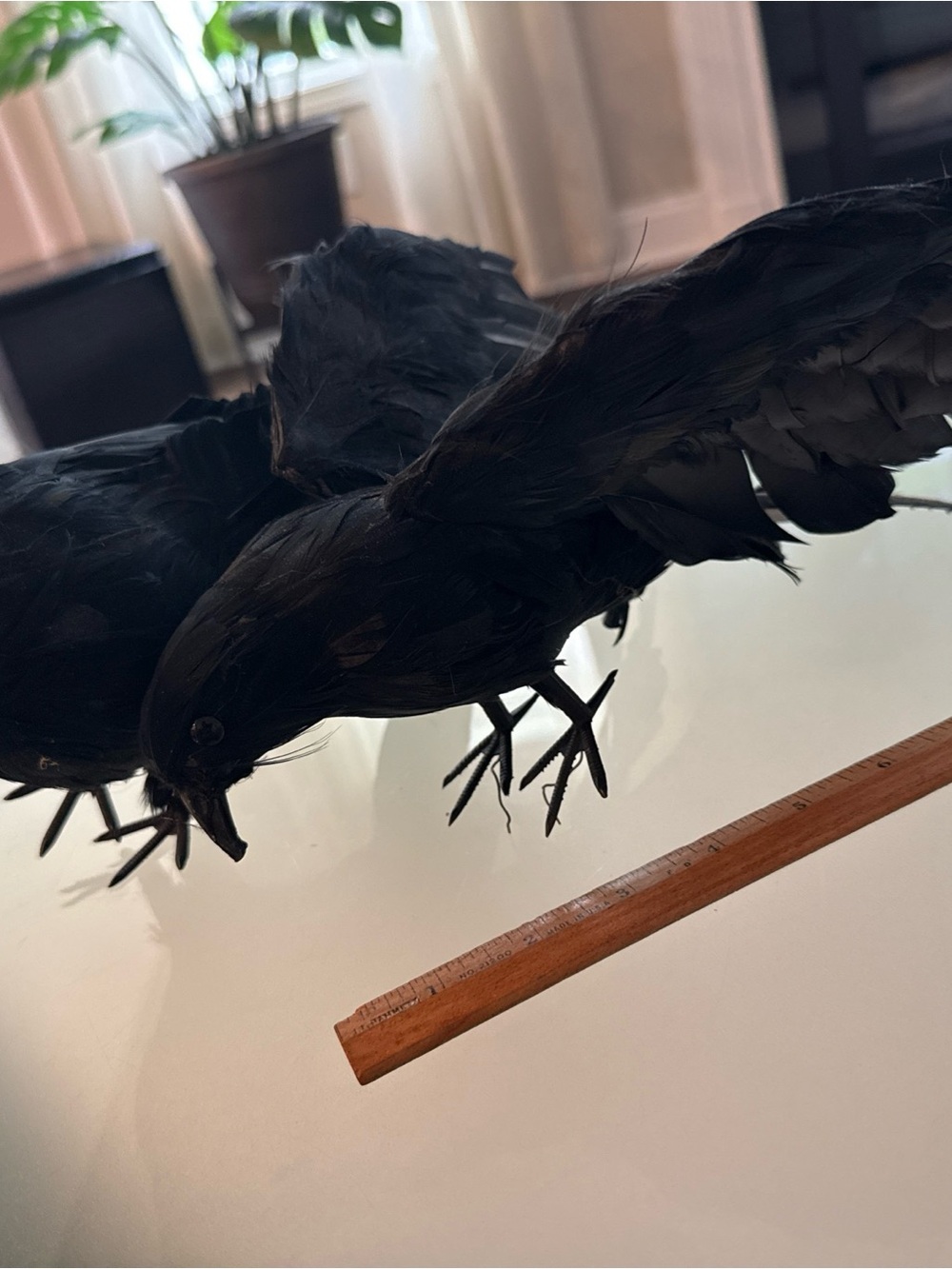 2 Halloween Crow Decoration Realistic Black Bird Horror Party Haunted House Prop